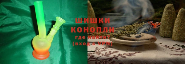 прущие грибы Абинск