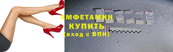 прущие грибы Абинск