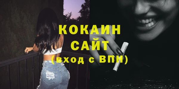 прущие грибы Абинск