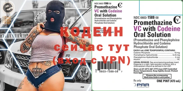 прущие грибы Абинск