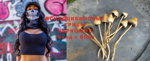 дмт Абаза