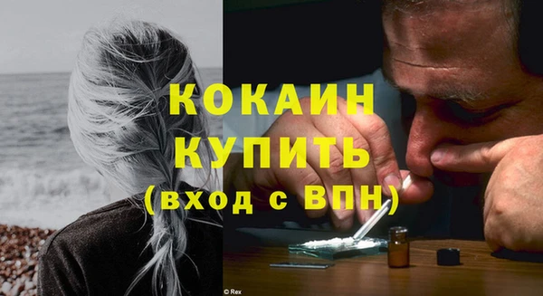 прущие грибы Абинск