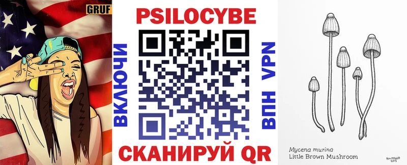Псилоцибиновые грибы Psilocybe  даркнет состав  Отрадный 