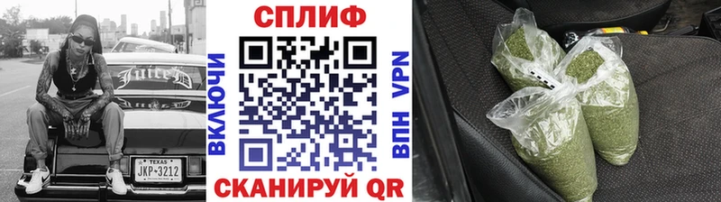 Бошки Шишки семена  Отрадный 